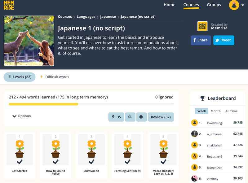 image of memrise japanese dashboard