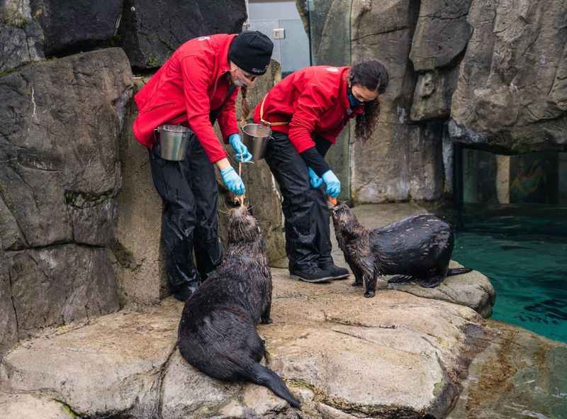 Vancouver Aquarium