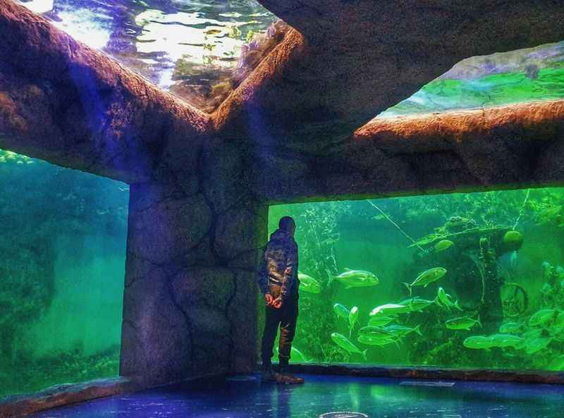 Moscow Oceanarium