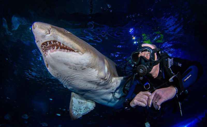 Blue Planet Aquarium