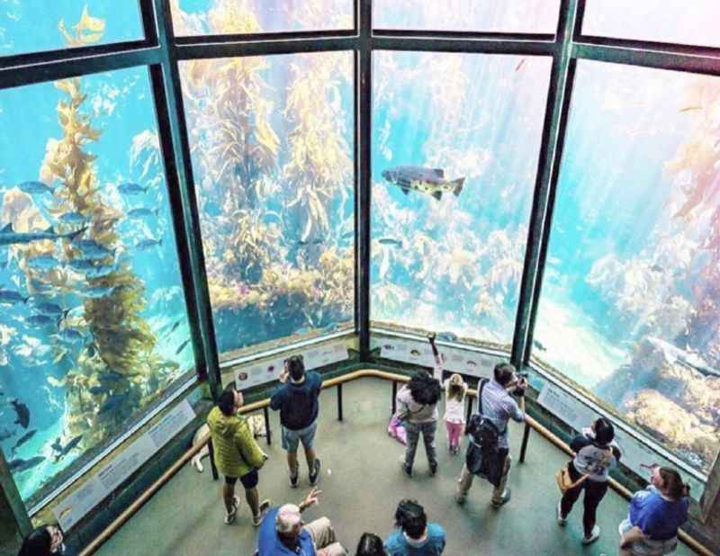 50 Best Aquariums in the World 2024 - TourScanner