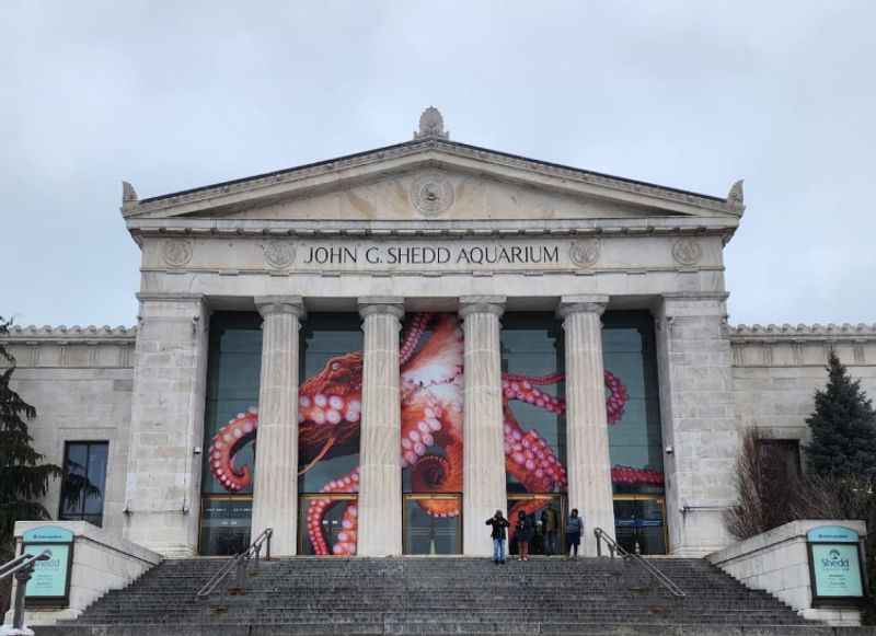 Shedd Aquarium