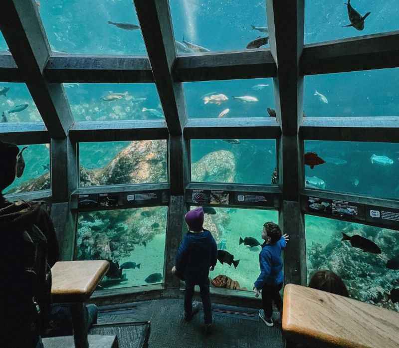 Seattle Aquarium