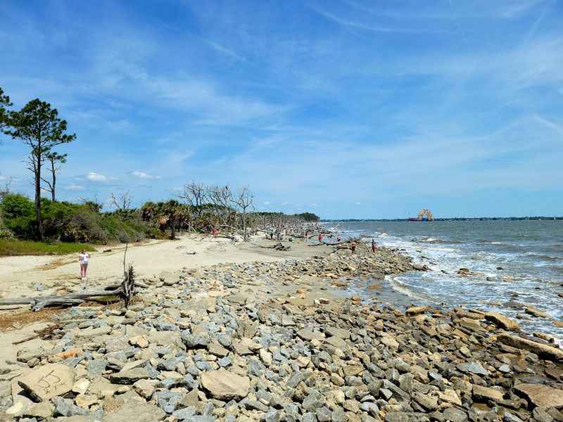 Driftwood Beach, Jekyll Island, Georgia