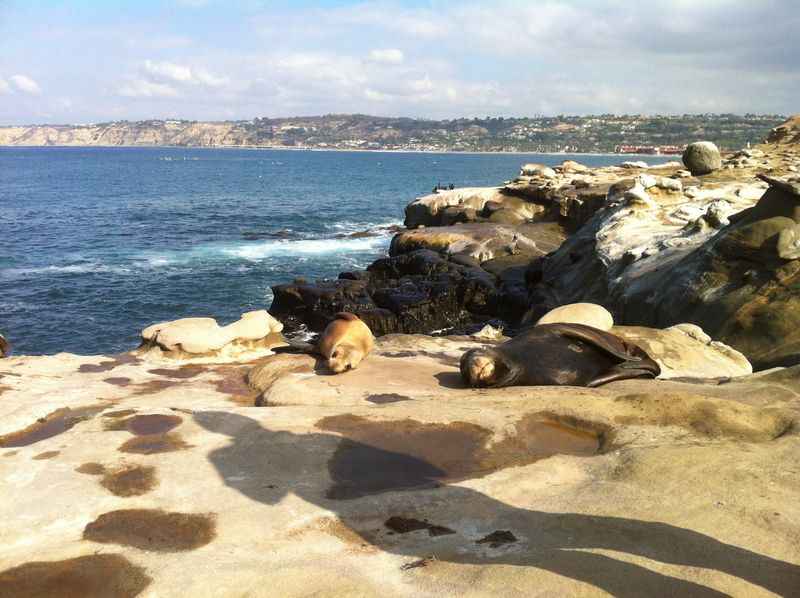 La Jolla Cove, California Beach