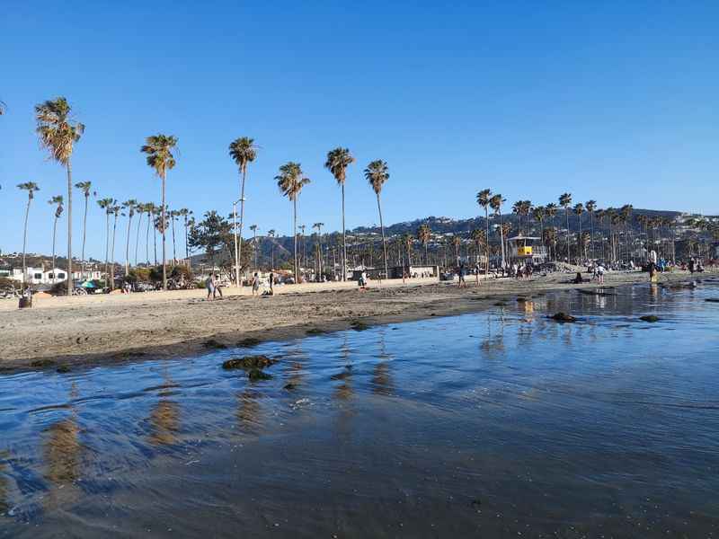 La Jolla Shores Beach