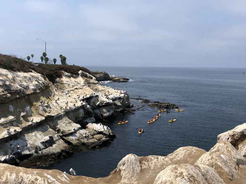 La Jolla Underwater Park