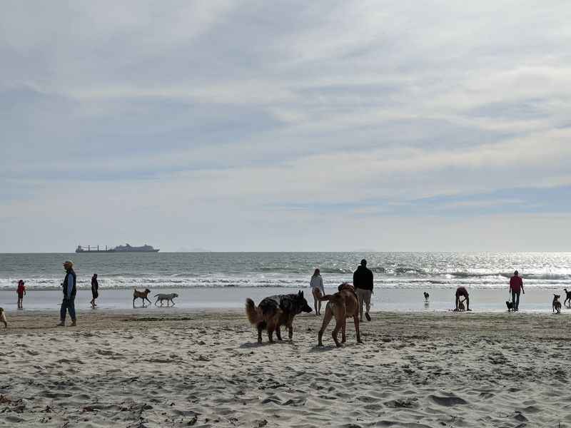 Coronado Dog Beach