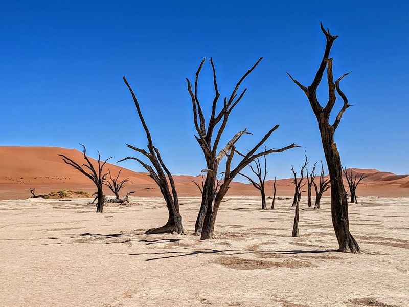 Namib-Naukluft National Park, Namibia