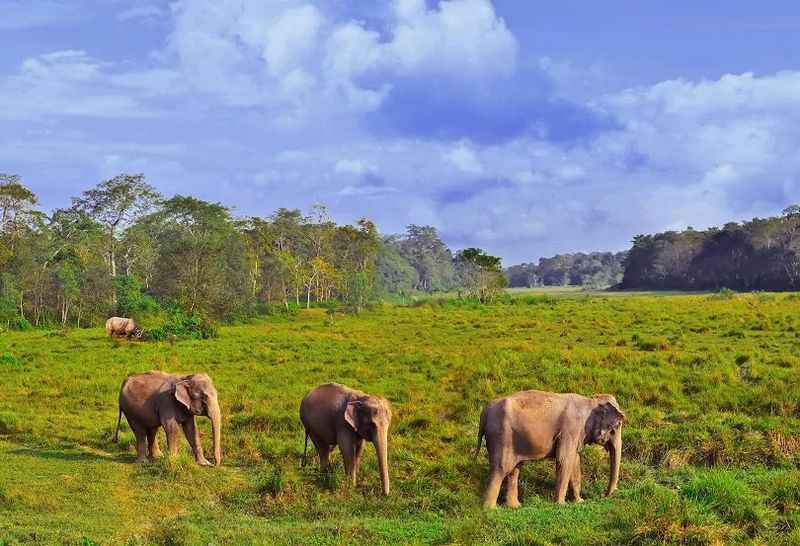 Chitwan National Park, Nepal