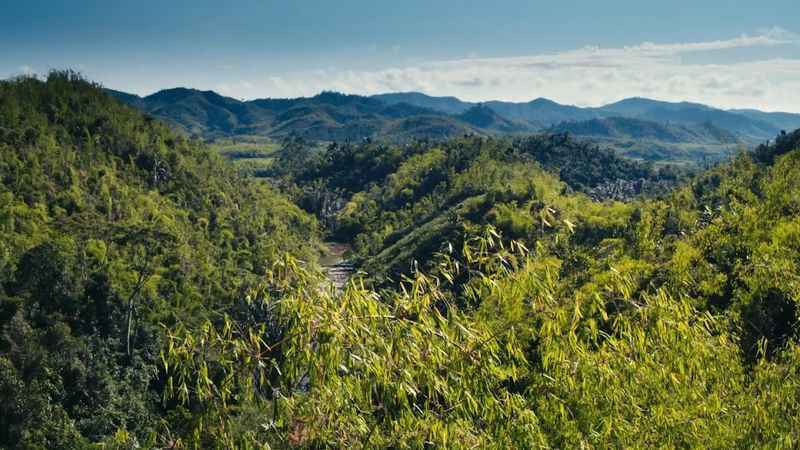 Andasibe-Mantadia National Park, Madagascar