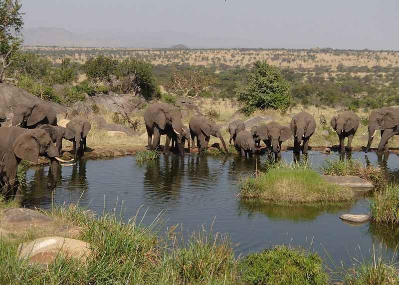 Serengeti National Park, Tanzania