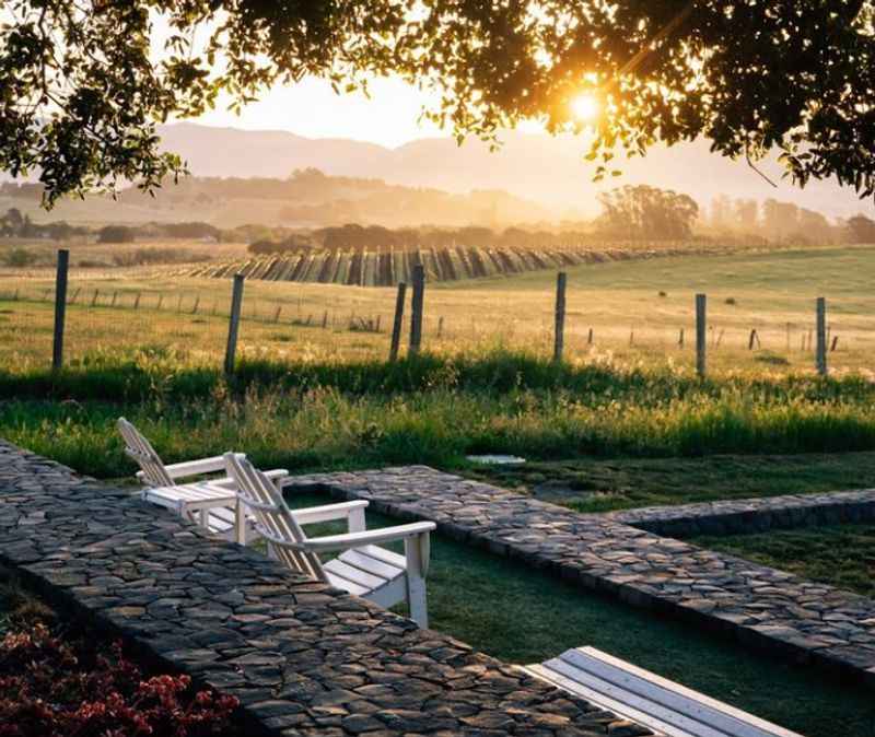 a bench in the middle of a field