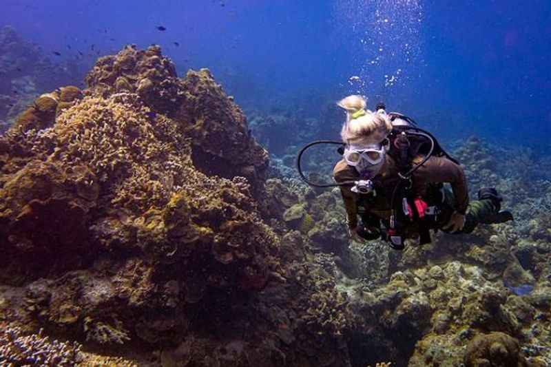 Snorkeling Trip to Cozumel