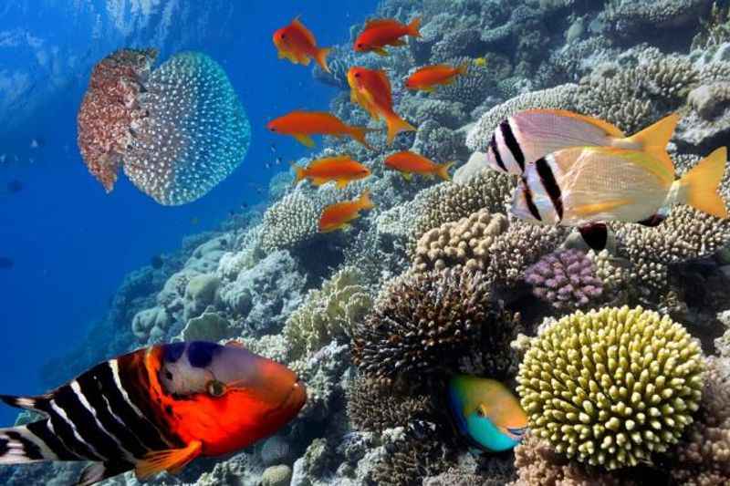 Best Snorkeling Spots in Cancun