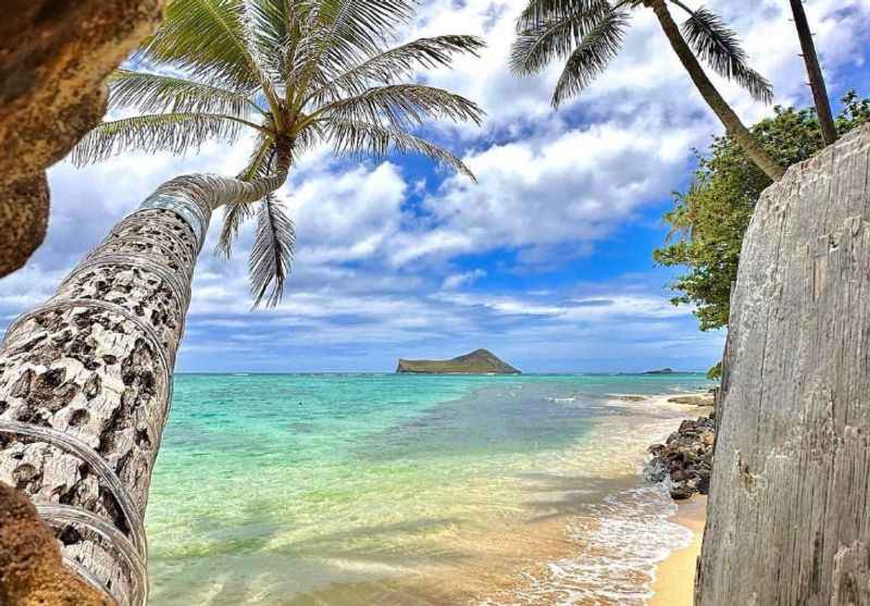 Snorkeling Spots on the Big Island, Hawaii