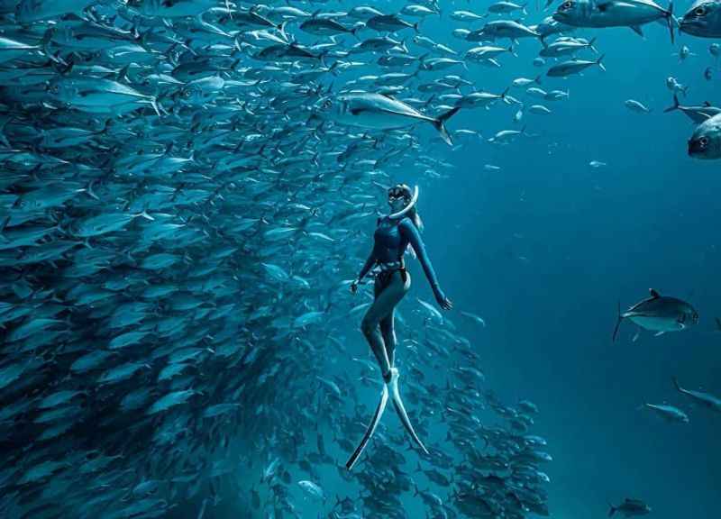 Cabo Pulmo for a Day of Snorkeling