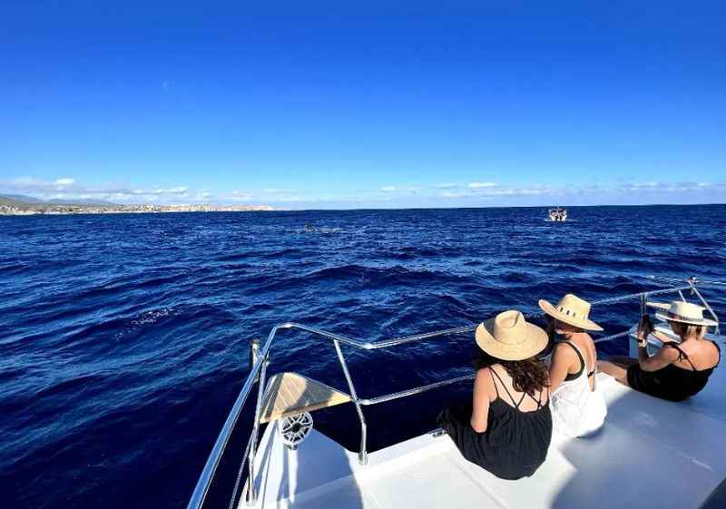 Luxury Yacht for a Day on the Pacific Ocean