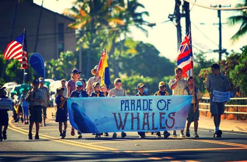 Maui Whale Festival