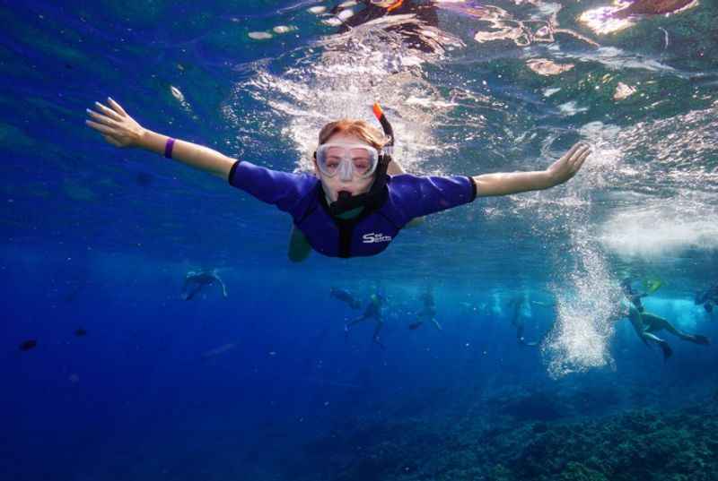 Snorkel at Molokini Crater