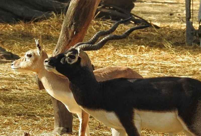 National Zoological Park