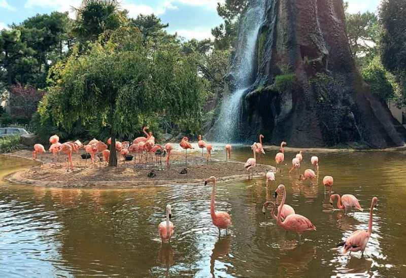 Zoo of La Palmyre