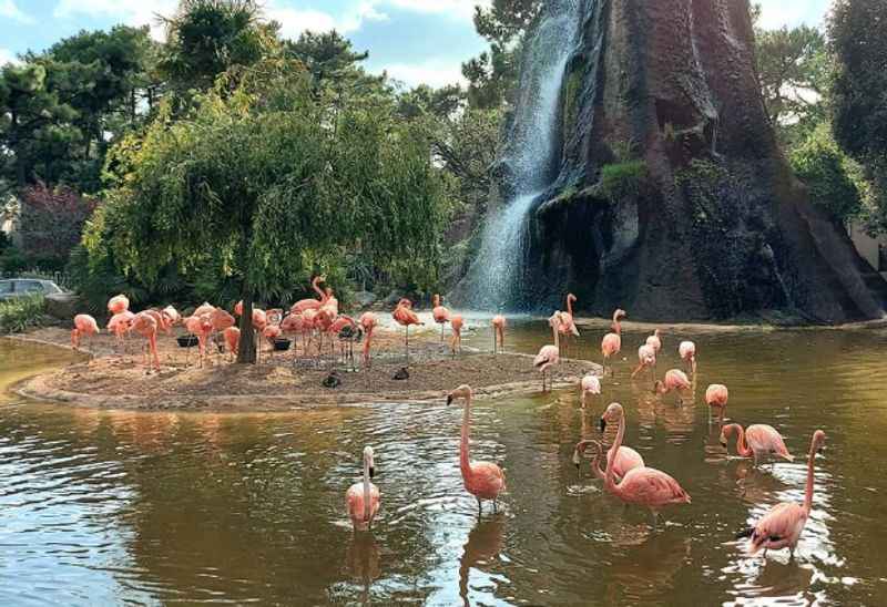 Zoo of La Palmyre