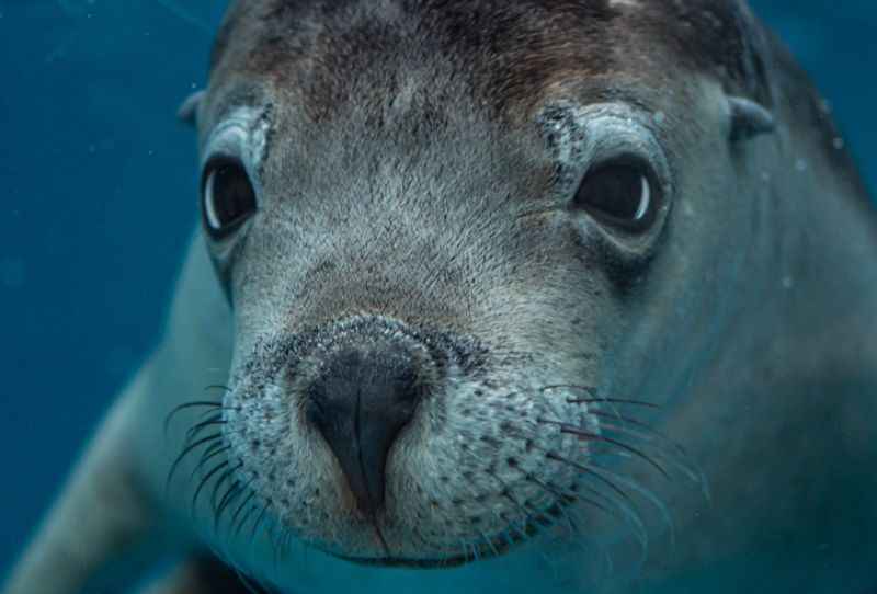 Taronga Zoo