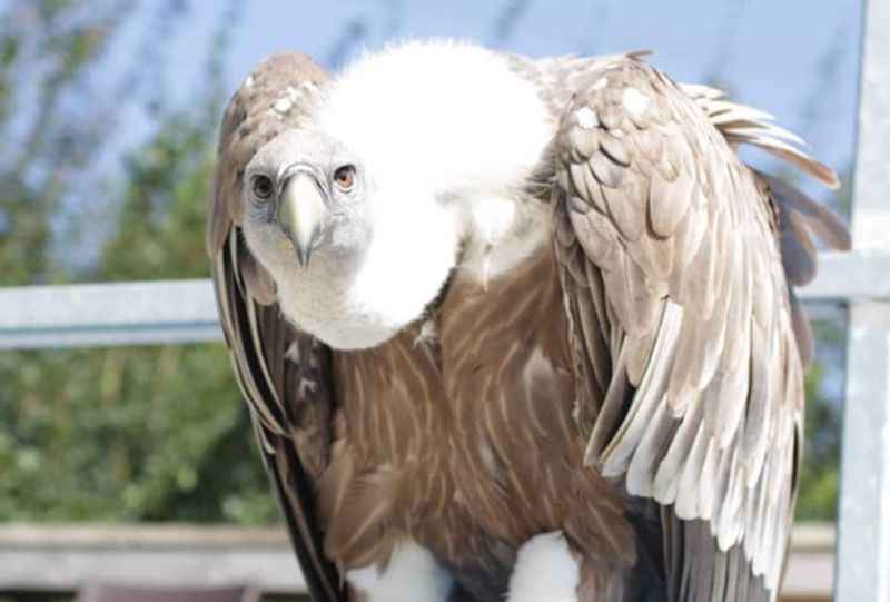 ZooParc de Beauval