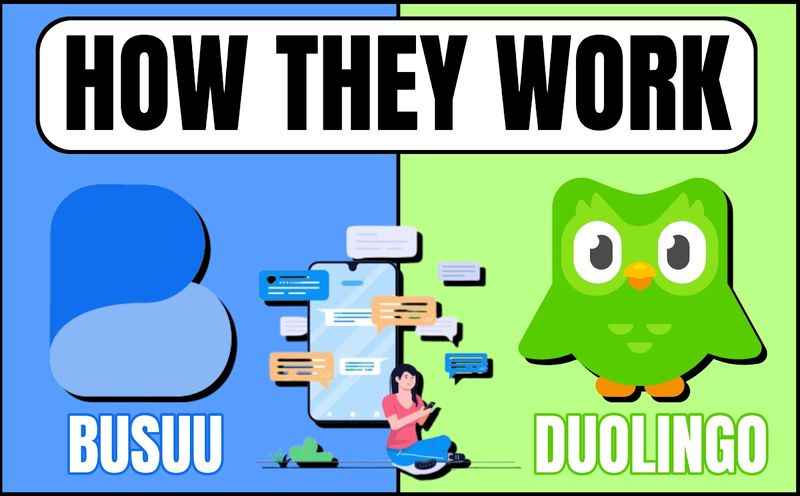 Busuu vs Duolingo: How They Work