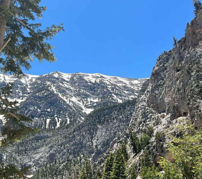 Mount Charleston