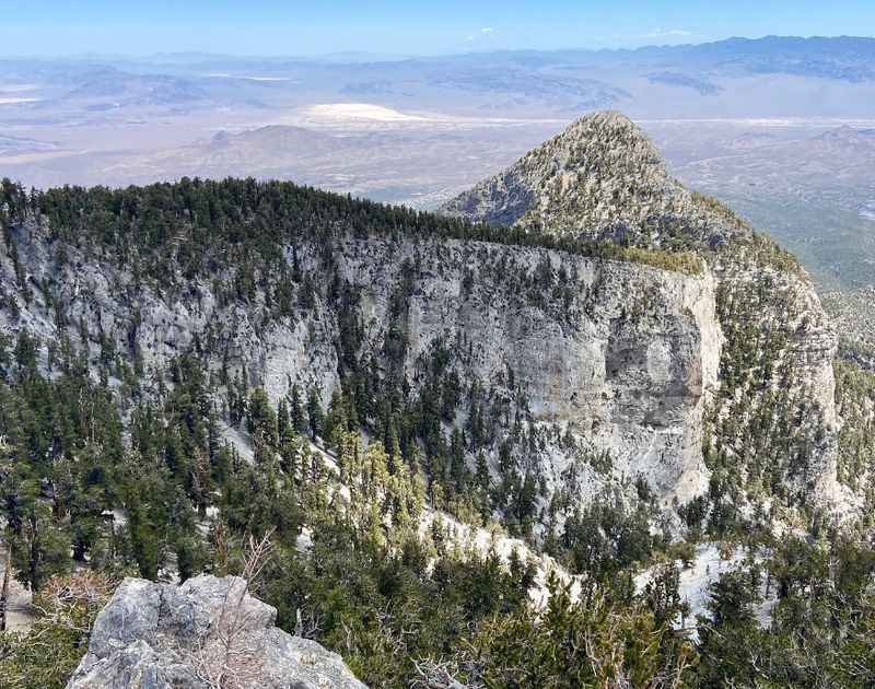 Spring Mountains National Recreation Area