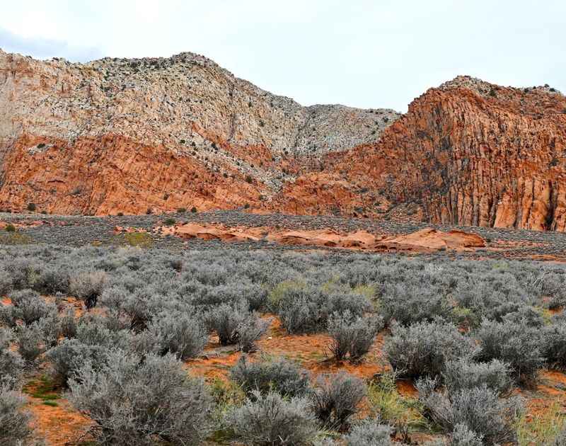 Red Cliffs National Conservation Area