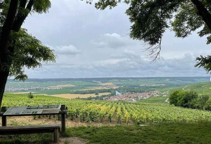  The Champagne Region