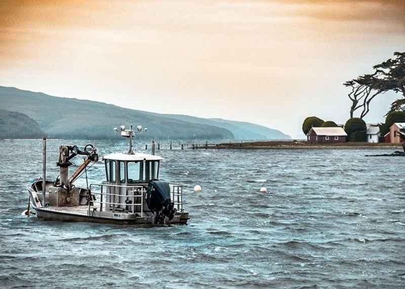 Tomales Bay