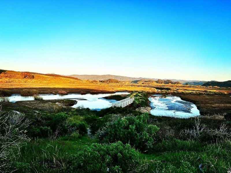 Pescadero Marsh Natural Preserve