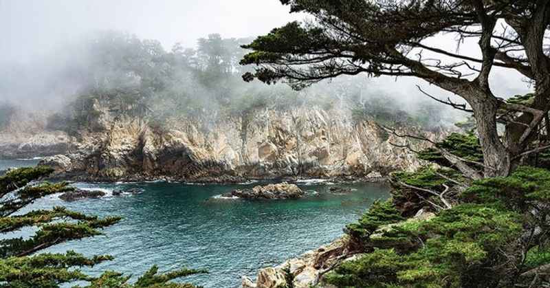 Point Lobos State Natural Reserve