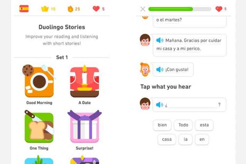 Guide Through Duolingo: What Does a Duolingo Lesson Look Like?