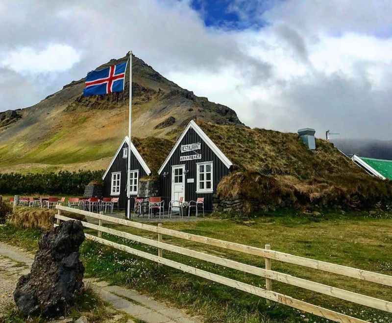 Icelandic (1100 hours)
