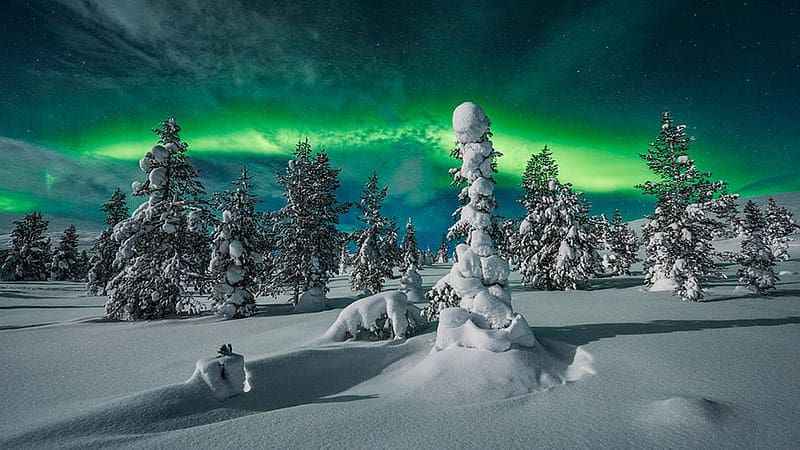 Finland Winter Polar Night