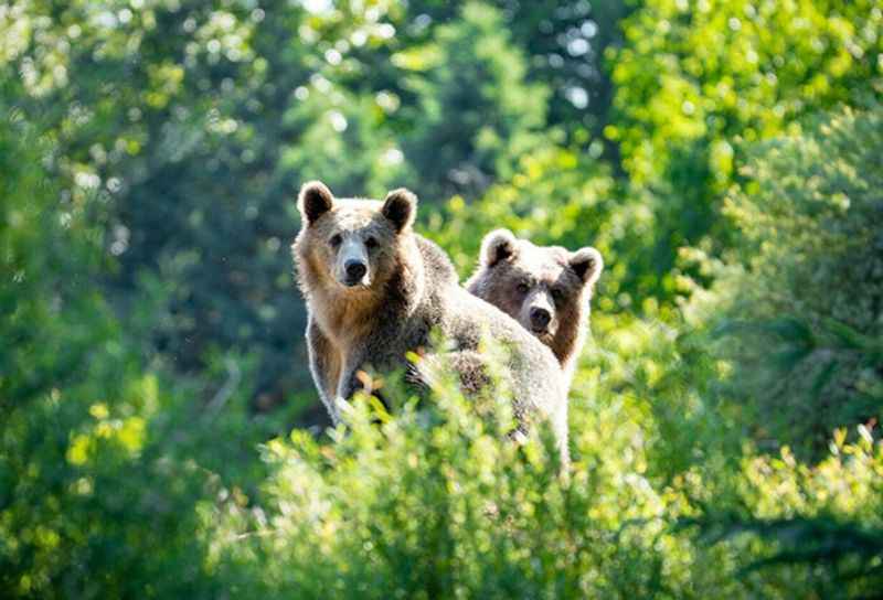 Woodland Park Zoo