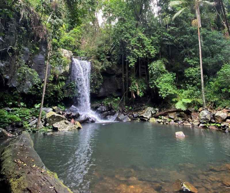 Tamborine National Park