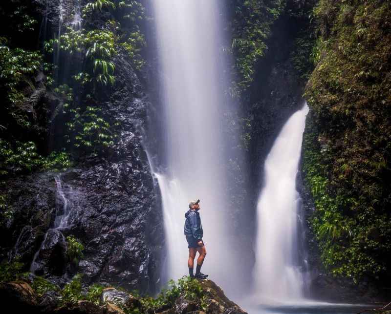 Lamington National Park