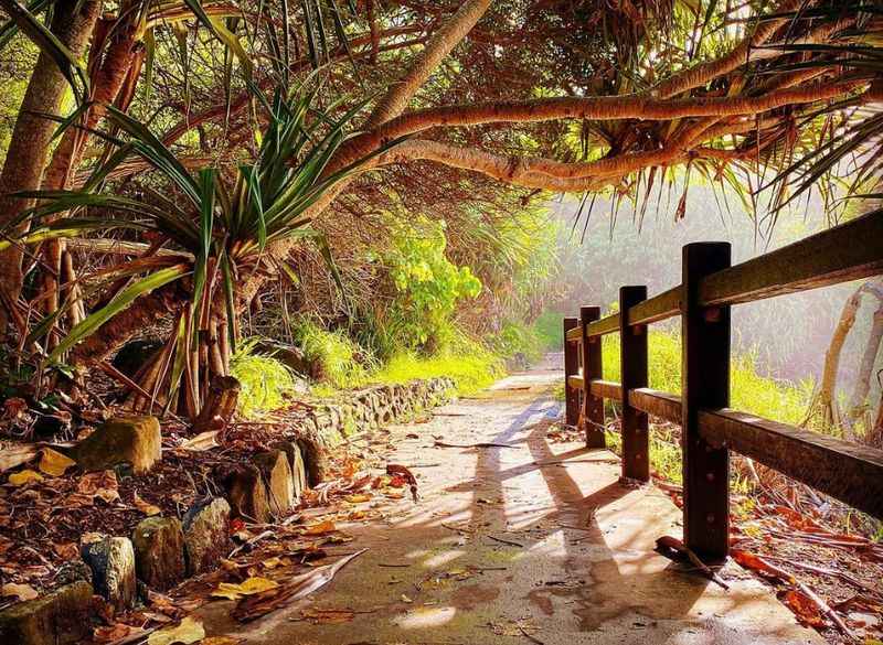 Burleigh Heads National Park