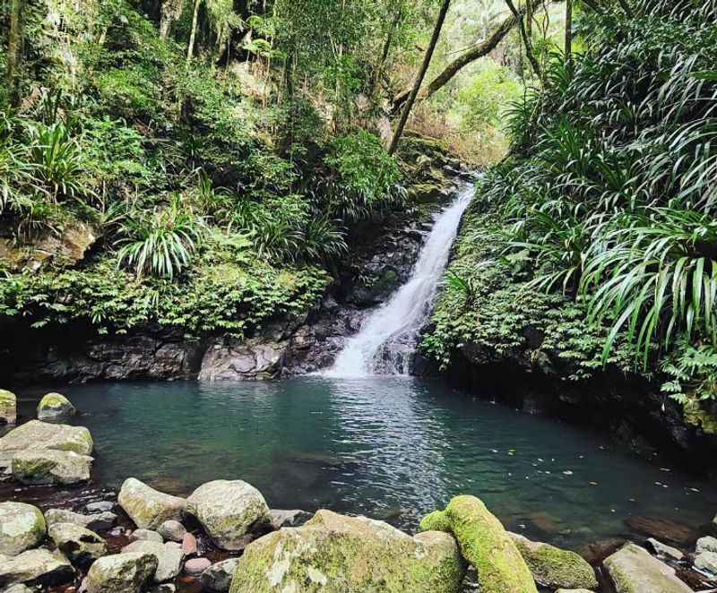 Gold Coast Hinterland