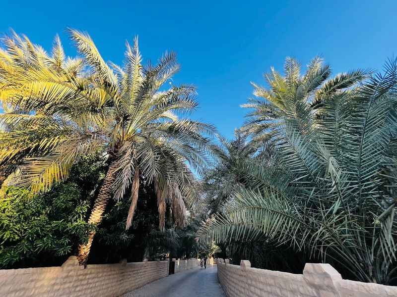 Al Ain Oasis