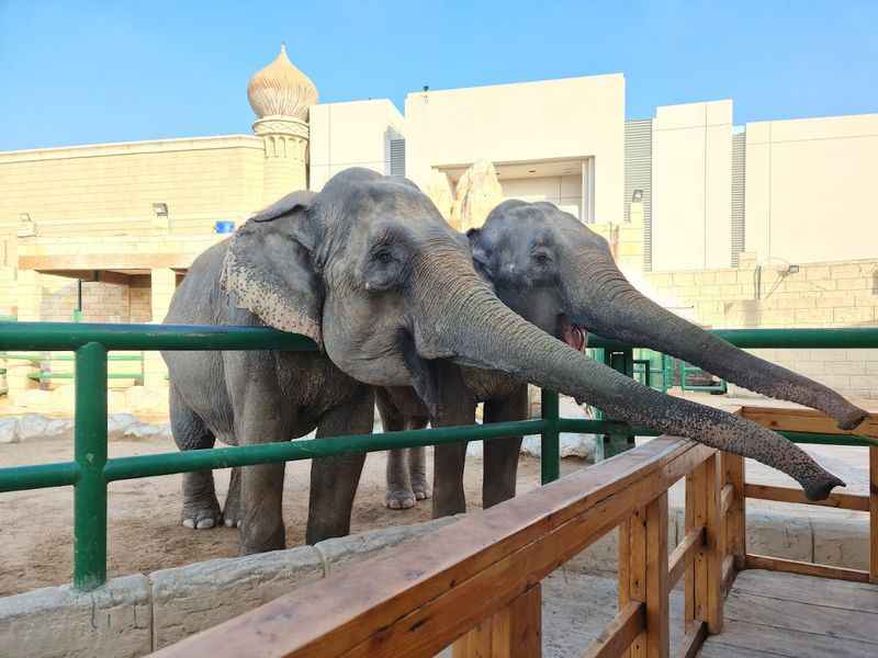 Emirates Park Zoo