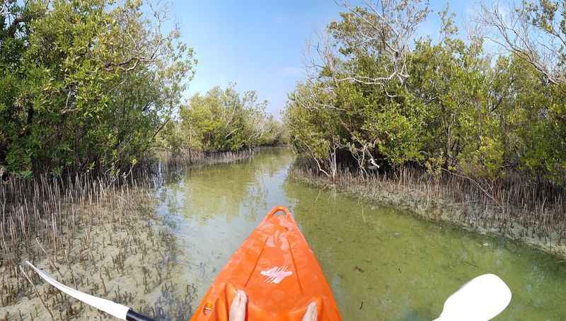Mangrove National Park