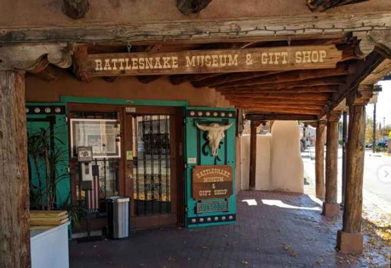 The American International Rattlesnake Museum in New Mexico