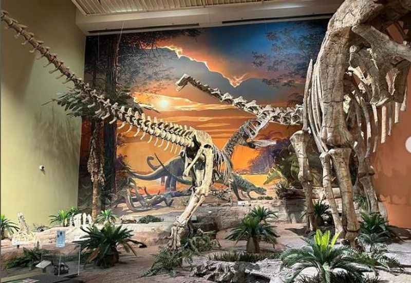 The New Mexico Museum of Natural History and Science